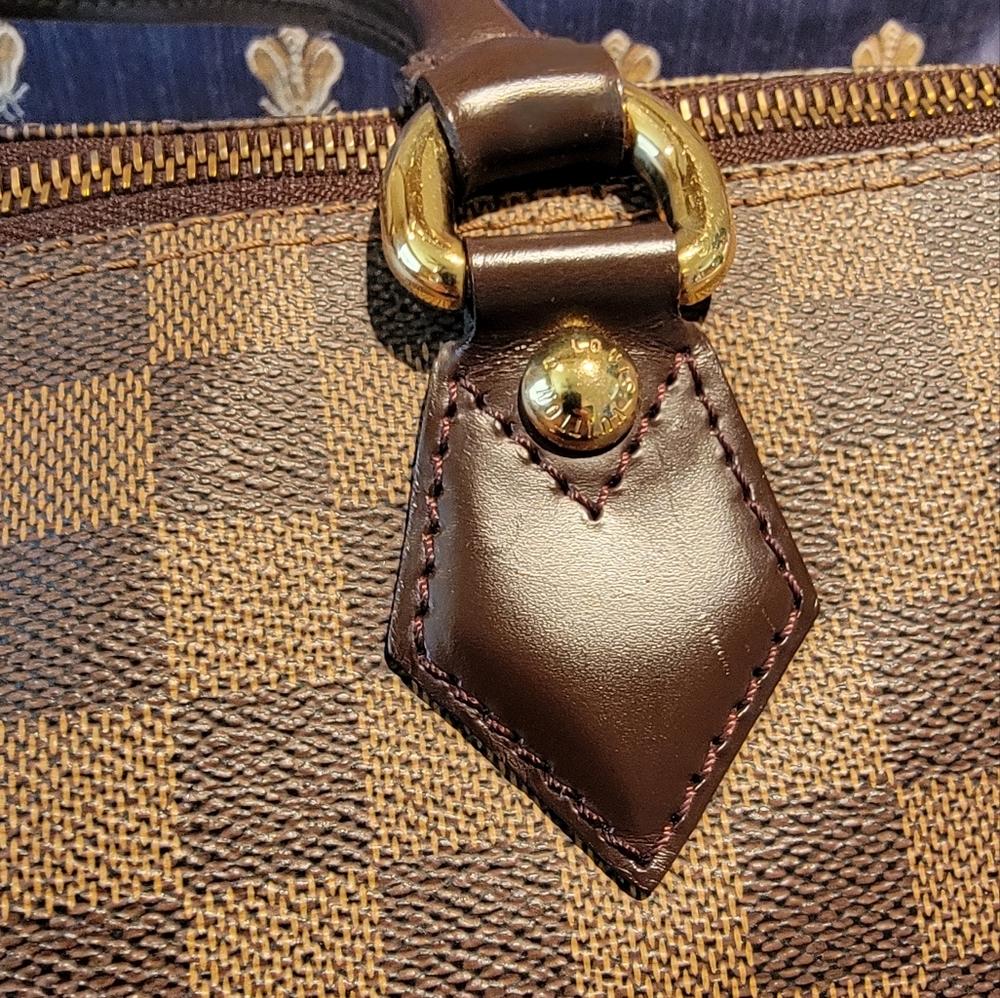 Louis Vuitton Damier Ebene Saleya Handbag PM - Picture 5 of 12